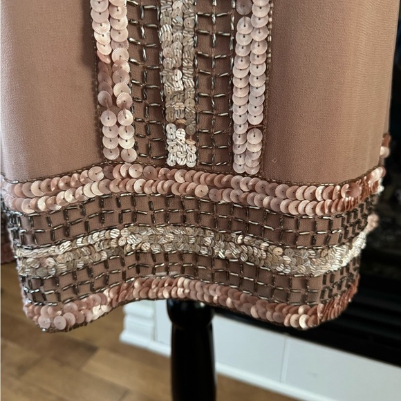 Adrianna Papell Sequin Embellished Dress in Blush - Picture 4 of 8